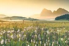 超碰免费成人公开视频-探索成人内容边界，超碰免费成人公开视频的多元视角