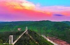 大象传媒2022-大象传媒，2022年创新与变革的领航者